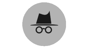 incognito mode flight search